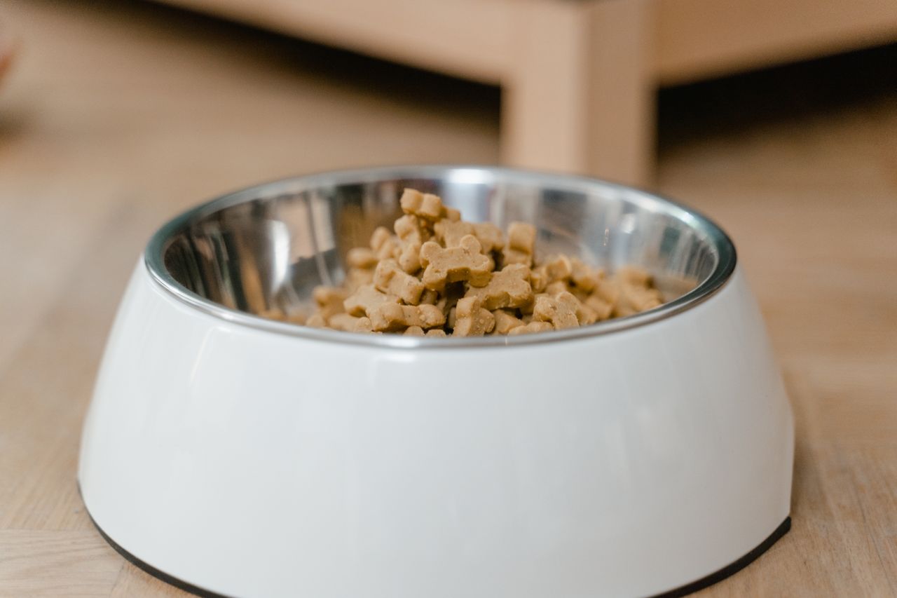 mobile-02 A stainless steel dog bowl filled with dry dog treats on a wooden floor.