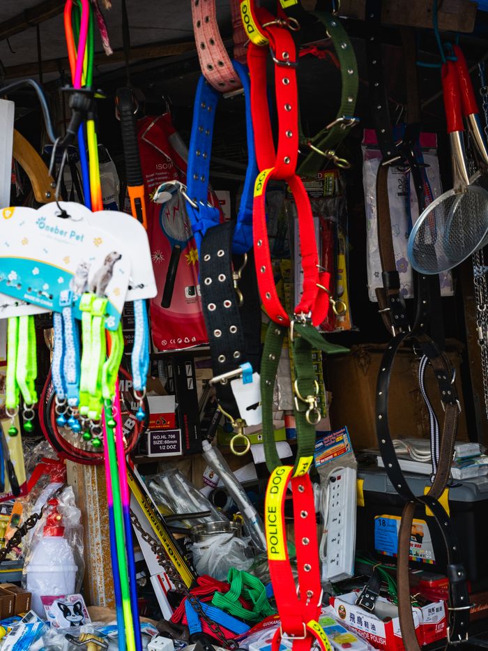creative-03 Vibrant pet accessories displayed in a bustling Colombo street market, showcasing dog collars and leashes.