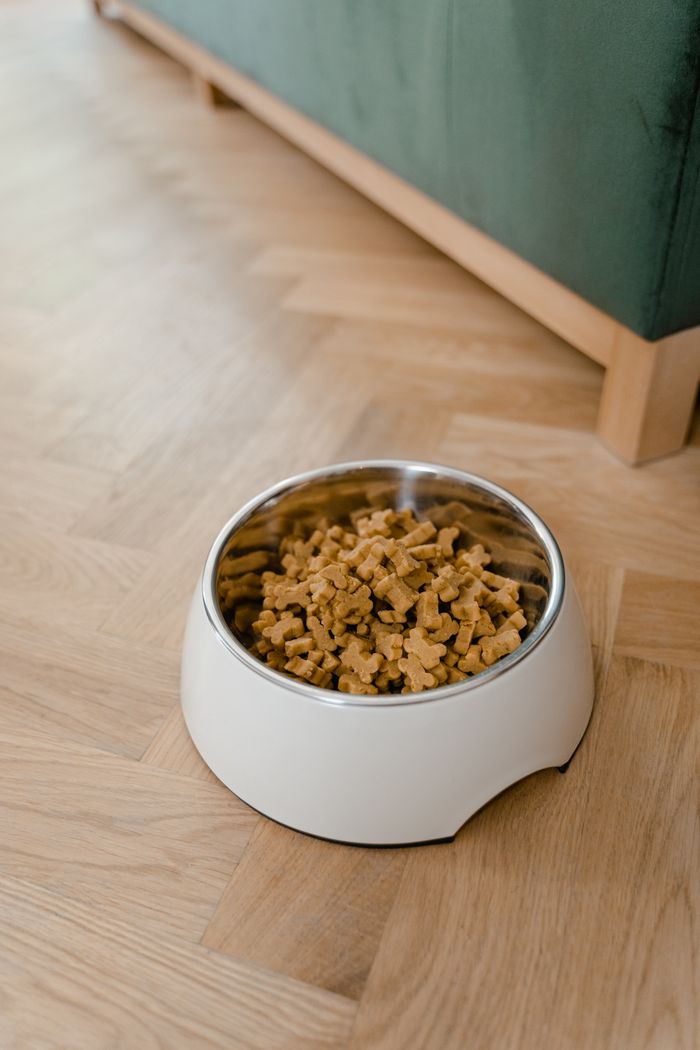 creative-03 A bowl filled with dog food placed on a wooden floor, showcasing pet care essentials.